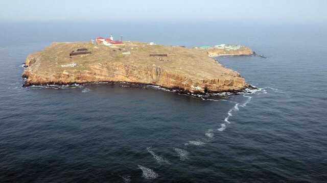 В ОК «Юг» рассказали о разгроме оккупантов на Змеином