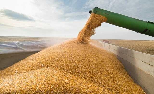 Турция задержала сухогруз с краденым украинским зерном, - посол