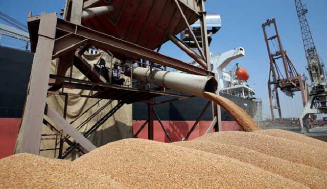 «Схемы» доказали, что РФ вывозит украденное украинское зерно в порты Турции