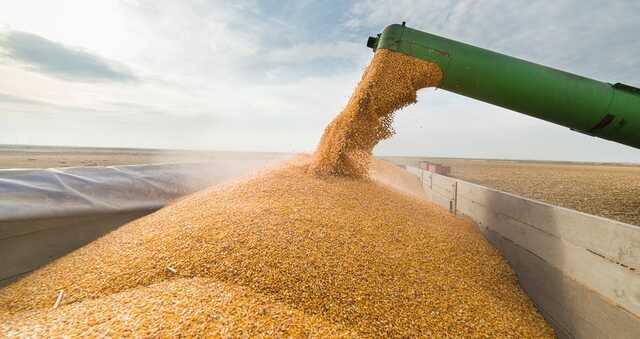 Україна розраховує зібрати щонайменше 50 млн тонн зерна, - Мінагрополітики