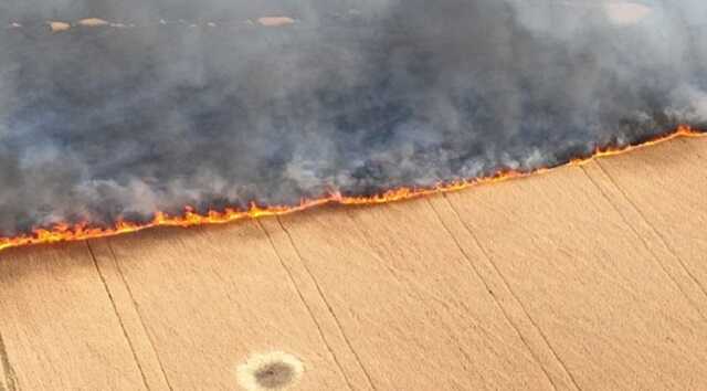 Російська армія спалює поля із пшеницею в Україні