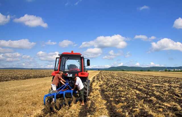 Фермеры жгут свои поля под Мелитополем и сбегают: боятся пыток и кражи зерна