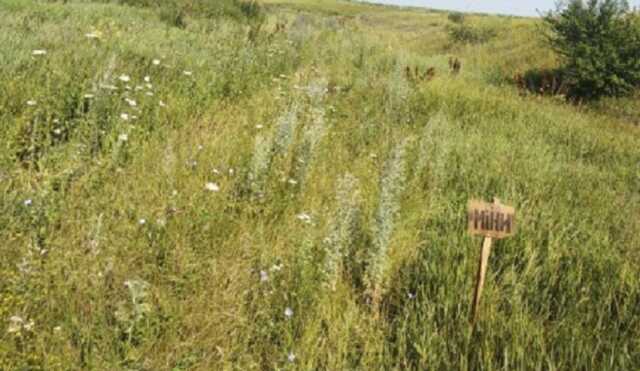 В Сумской области на мине подорвался автомобиль: один из гражданских погиб