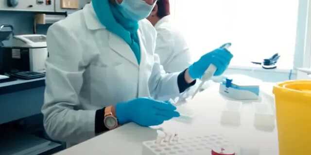 В Луганской области ветеринарный врач начал сотрудничать с оккупантами