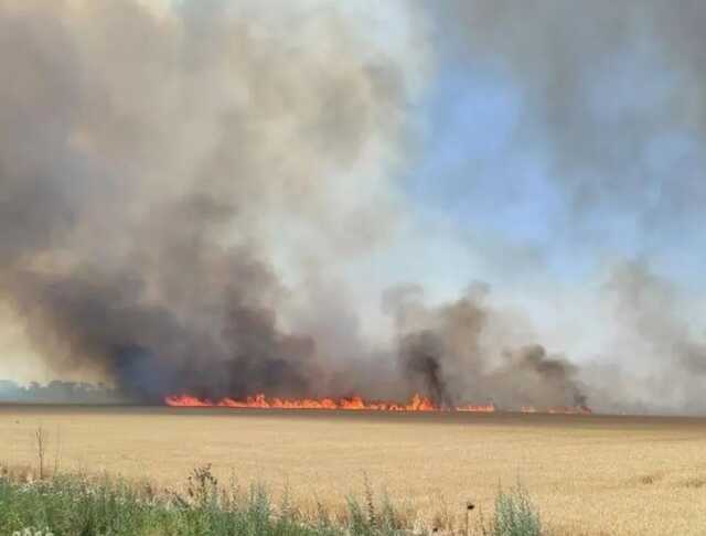 На Днепропетровщине оккупанты обстреляли поля, на десятках гектаров урожай сгорел полностью