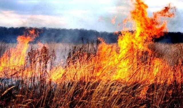 На Запорожье из-за ударов России из РСЗО загорелись поля