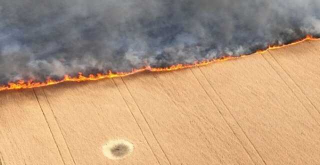 Люди сжигают урожай, чтобы не отдавать оккупантам, - мэр Мелитополя