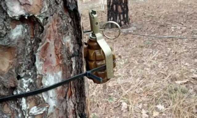 Под Киевом женщина подорвалась на вражеской мине