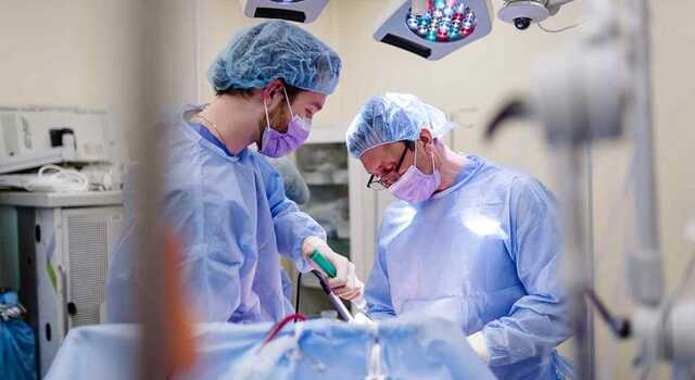 Могли залишитися сліпими назавжди: польські медики дивом врятували зір сім’ї із Сєвєродонецька