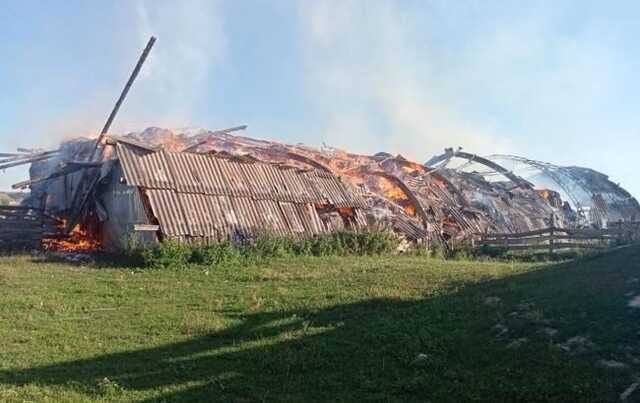 Окупанти накрили Сумську область з мінометів та артилерії: горить ферма