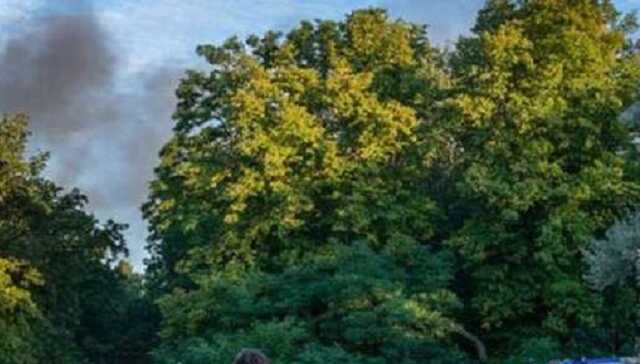 У Берліні спалахнула масштабна пожежа на складах з амуніцією