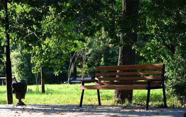 У Дніпрі парочка пристрасно кохалась на лавці