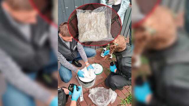 У Києві 20-річна дівчина потрапила на отримання великої партії особливо небезпечних наркотиків