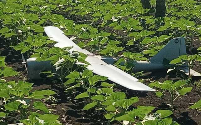 ЗСУ знищили російський безпілотник над Миколаївщиною