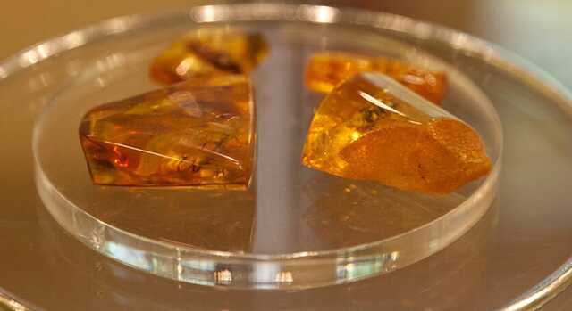 Бурштинові збитки держави: в ФДМУ повідомили результати ДП «Бурштин України» за 2021 р