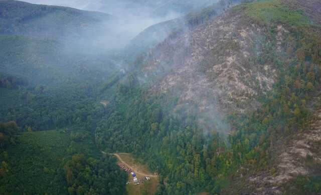 На Закарпатті спалахнула масштабна лісова пожежа: до гасіння залучили авіацію