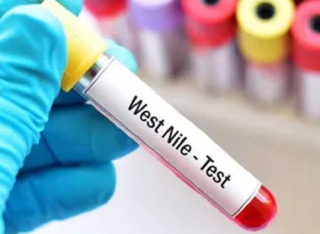 На Київщині зафіксували випадок гарячки Західного Нілу