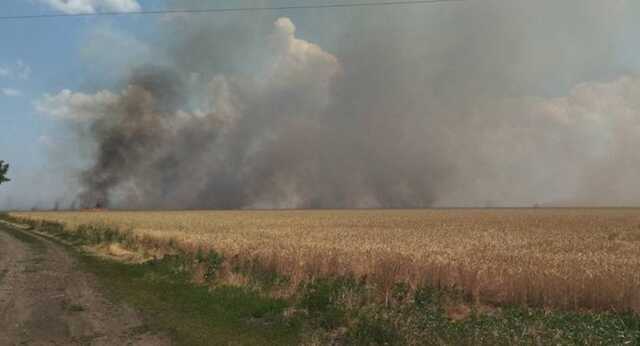 Біля Миколаєва сталася пожежа через обстріли