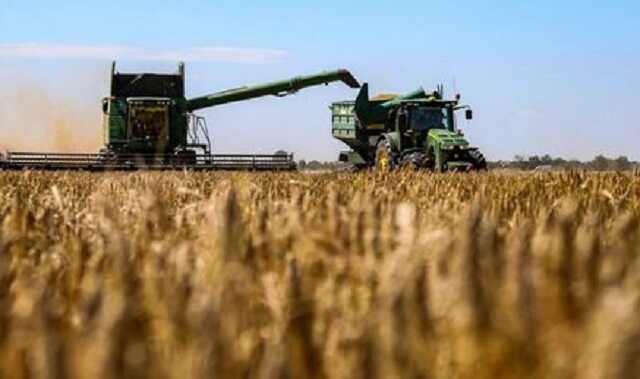 Як війна впливає на агровиробництво в Україні