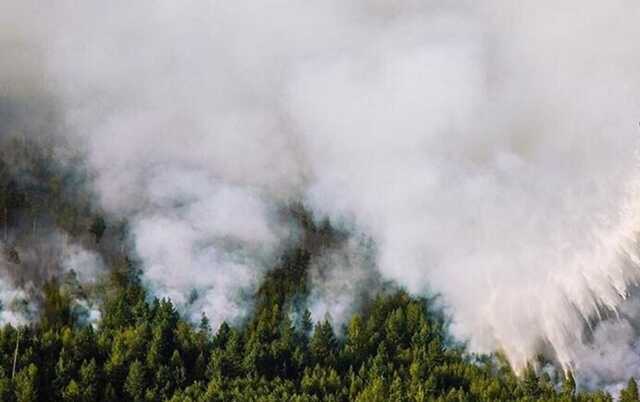 У Сумській області через обстріл виникла лісова пожежа