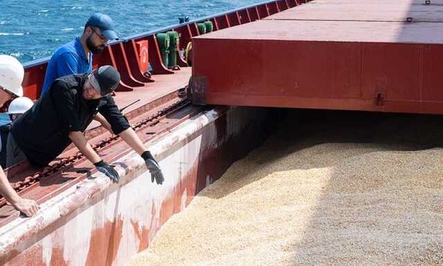 З українських портів вийшло більше десяти суден з продовольством