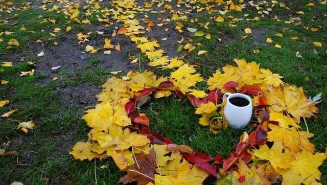 Тепло і без опадів: прогноз погоди на понеділок