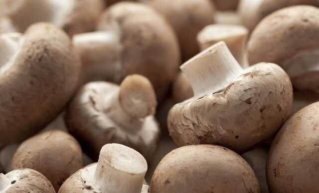 Двоє дітей та молода жінка померли після отруєння зібраними під Києвом дикими печерицями