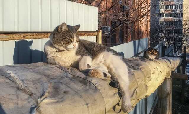 "Мер" Горлівки розповів, що буде з опалювальним сезоном у місті
