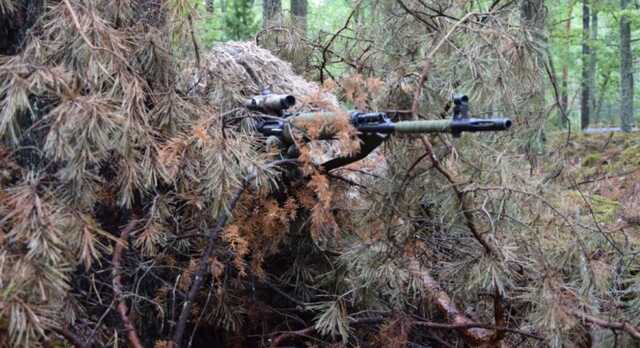 У МВС розкрили деталі військових навчань України на кордоні з Білоруссю