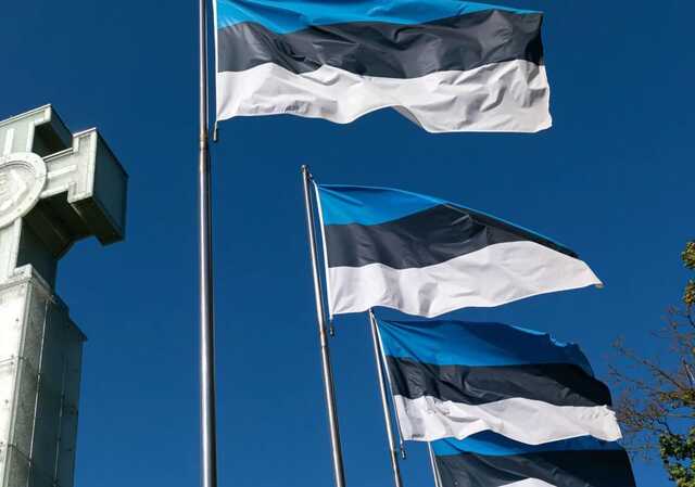 В Эстонии хотят изымать оружие у граждан России, живущих в стране