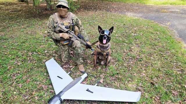 На Харківщині службовий пес Нацгвардії знайшов неушкоджений російський БПЛА