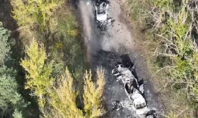 The Guardian       - 