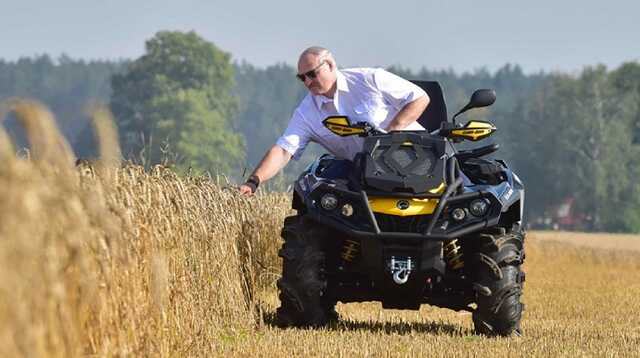 Лукашенко оголосив про загальну мобілізацію білорусів на збирання врожаю