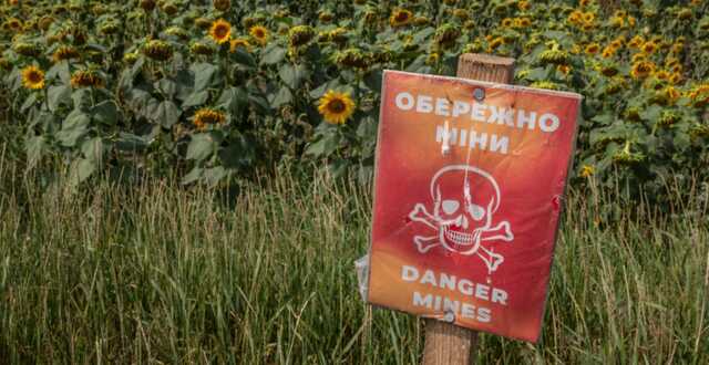 У Запорізької області двоє дітей загинуло від міни