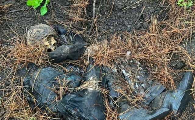 В Харківській області знайшли тіло закатованої людини