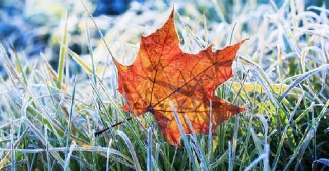 В Україні вдарить мороз: синоптики попередили про похолодання