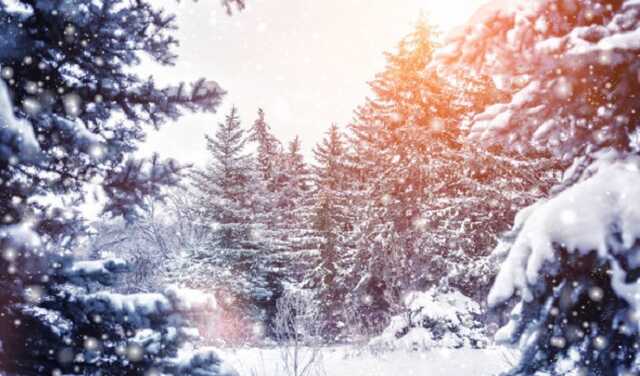 Синоптики обещают украинцам аномально теплый декабрь