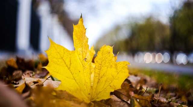 Температура впаде: синоптики попередили про "тріскучий" мороз і снігопад в Україні