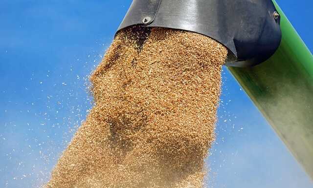 Работу "зернового коридора" продолжат после 22 ноября