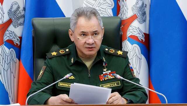 Донька міністра оборони РФ Сергія Шойгу набула громадянства Литви, - LRT