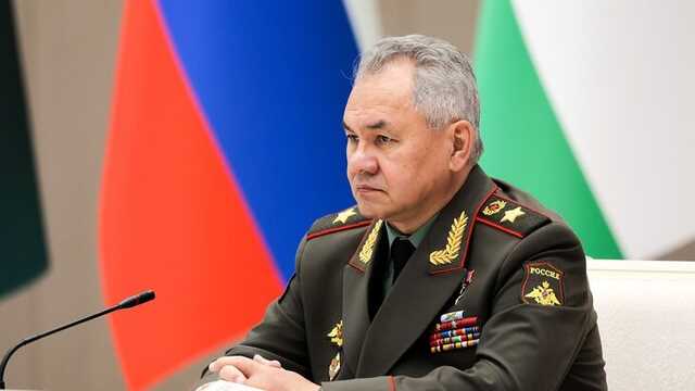 Доньку Шойгу можуть позбавити європейського громадянства