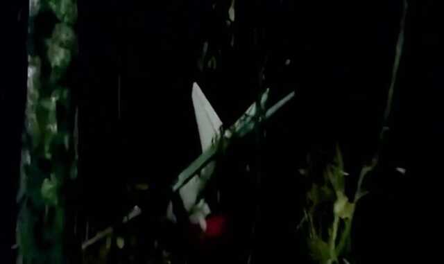 Російський дрон-розвідник "Орлан-10" знайшов у лісі мешканець Вишгородського району на Київщині