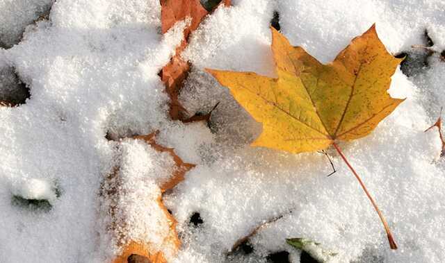 У Черкасах випав перший сніг
