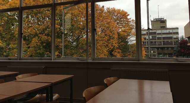 Коли у київських школах розпочнуться осінні канікули: названо дату