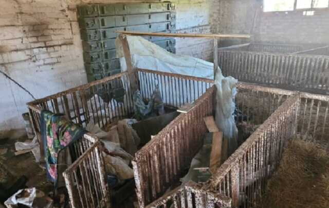 ЗСУ опублікували кадри з казарми росіян: облаштувались у свинарнику