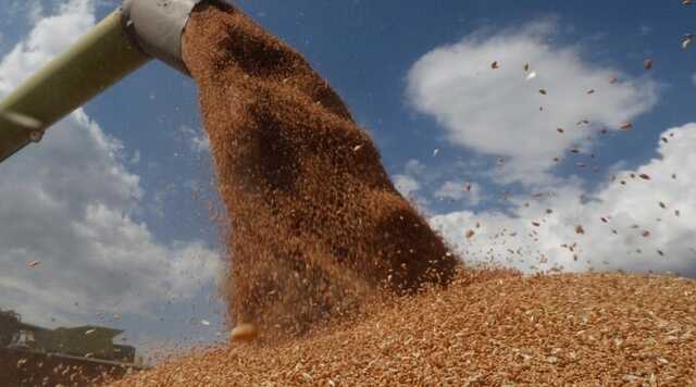 В России снова пригрозили не продлевать зерновую сделку и назвали причину