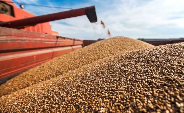 Україна не змогла відправити зерно для Ефіопії через вихід РФ з "зернової угоди"