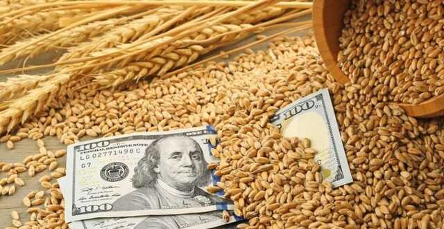 Росія продає вкрадене українське зерно до Туреччини: стала відома схема