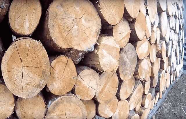 Жителям Миколаївської області почали видавати безкоштовні дрова - Мінреінтеграції