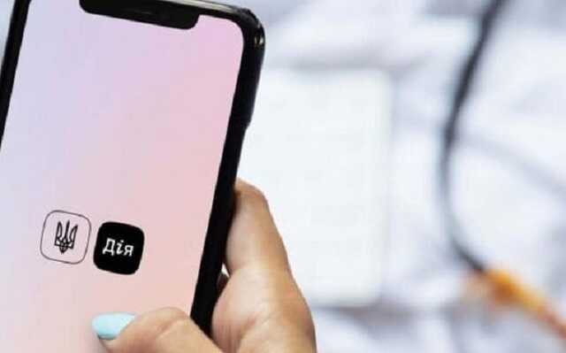 В «Дии» появятся документы по образованию